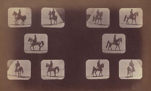 Studies of Foreshortenings. Horses. Walking. Mahomet. Nos. 119-120 by Eadweard Muybridge