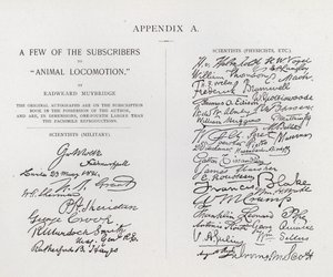 Subscribers to Animal Locomotion by Eadweard Muybridge: Scientists, Military; Scientists, Physicists, etc