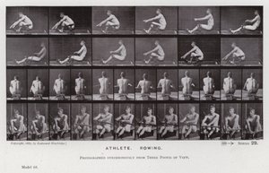 The Human Figure in Motion: Athlete, Rowing by Eadweard Muybridge
