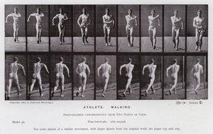 The Human Figure in Motion: Athlete, Walking by Eadweard Muybridge