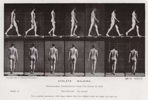 The Human Figure in Motion: Athlete, Walking by Eadweard Muybridge