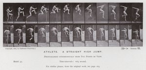The Human Figure in Motion: Athlete, a straight high jump by Eadweard Muybridge