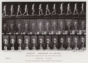 The Human Figure in Motion: Athlete, ascending an incline by Eadweard Muybridge