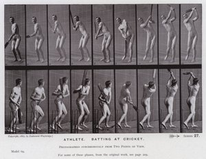 The Human Figure in Motion: Athlete, batting at cricket by Eadweard Muybridge
