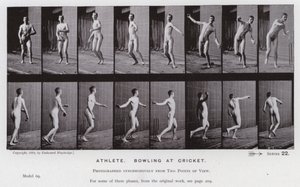 The Human Figure in Motion: Athlete, bowling at cricket by Eadweard Muybridge