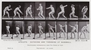 The Human Figure in Motion: Athlete, catching and throwing at baseball by Eadweard Muybridge