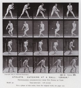 The Human Figure in Motion: Athlete, catching at a ball, "error" by Eadweard Muybridge