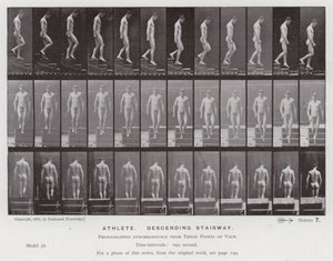 The Human Figure in Motion: Athlete, descending a stairway by Eadweard Muybridge