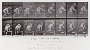 The Human Figure in Motion: Child, crawling upstairs