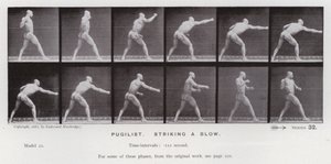 The Human Figure in Motion: Pugilist, Striking a Blow by Eadweard Muybridge