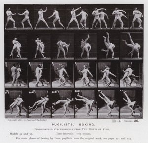 The Human Figure in Motion: Pugilists, Boxing by Eadweard Muybridge