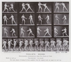 The Human Figure in Motion: Pugilists, Boxing by Eadweard Muybridge