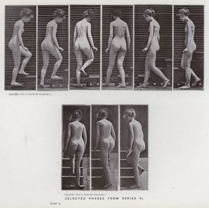 The Human Figure in Motion: Selected phases from series 41 by Eadweard Muybridge