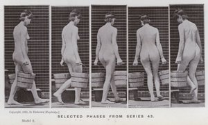 The Human Figure in Motion: Selected phases from series 43 by Eadweard Muybridge