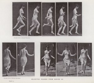 The Human Figure in Motion: Selected phases from series 53 by Eadweard Muybridge