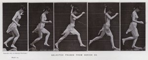 The Human Figure in Motion: Selected phases from series 54 by Eadweard Muybridge