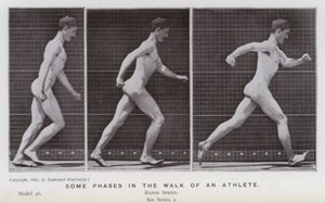 The Human Figure in Motion: Some phases in the walk of an athlete by Eadweard Muybridge