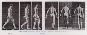 The Human Figure in Motion: Some phases in the walk of an athlete, carrying a 50-pound dumb-bell by Eadweard Muybridge