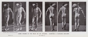 The Human Figure in Motion: Some phases in the walk of an athlete, carrying a 75-pound boulder by Eadweard Muybridge
