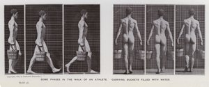 The Human Figure in Motion: Some phases in the walk of an athlete, carrying buckets filled with water by Eadweard Muybridge
