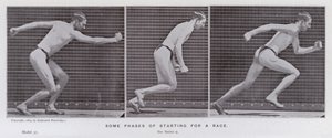 The Human Figure in Motion: Some phases of starting a race by Eadweard Muybridge