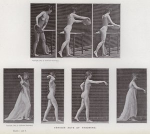 The Human Figure in Motion: Various acts of throwing by Eadweard Muybridge