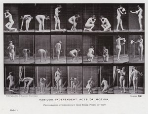The Human Figure in Motion: Various Independent Acts of Motion by Eadweard Muybridge