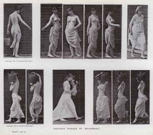 The Human Figure in Motion: Various phases of movement by Eadweard Muybridge