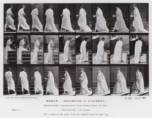 The Human Figure in Motion: Woman, ascending a stairway by Eadweard Muybridge