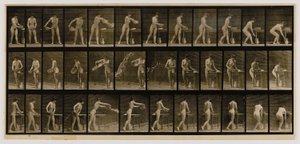 Woman Emptying a Basin of Water, from the book Animal Locomotion by Eadweard Muybridge