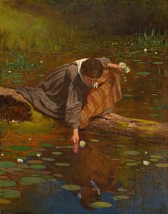 Gathering Lilies