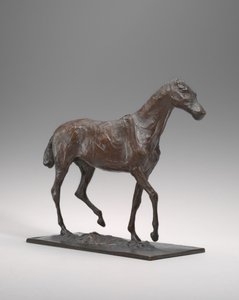 Horse Walking