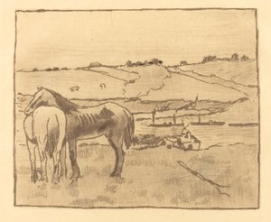 Horses in the Meadow