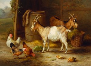 Chickens and Goats by a Barn Door