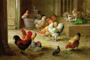 Farmyard scene