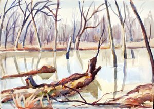 Rock Creek, Winter by Edgar Nye