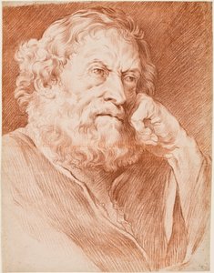 Head of a bearded man by Edmé Bouchardon
