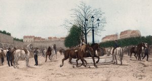 Horse Market in Paris