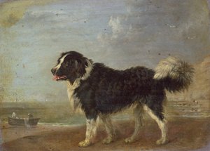 Unknown Image