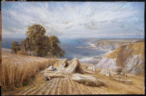 Harvesting on the South Coast
