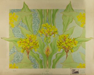 Indian Shot Lily by Edmund Hunter