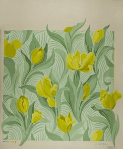 Tulip