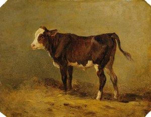Calf by Edmund Mahlknecht