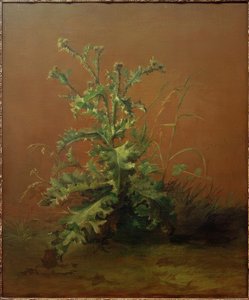 The Thistle