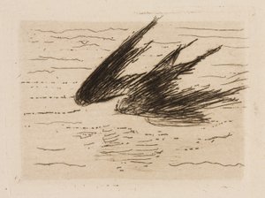 Swallows, plate 8 from The River by Édouard Manet