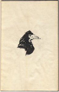 The Raven