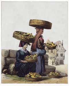 Mushrooms traders