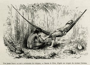 A young Roucouyan woman extracts the shies that have beamed the explorer