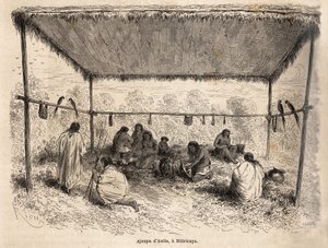 Ajoupa of the Antis Indians, in Biticaraya by Edouard Riou