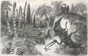Landscape of the Liasic period (Illustration depicting a Pterodactyl) by Edouard Riou